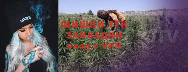 мдпв Козловка