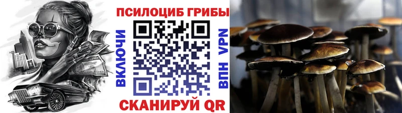 купить закладку  Серпухов  Галлюциногенные грибы Cubensis 