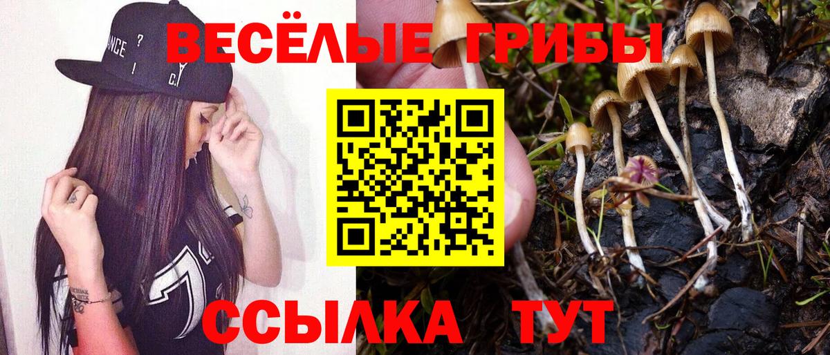 ГАШ  Кокаин  АМФЕТАМИН   Серпухов  Вход с VPN  Марихуана  MDMA  МЕФ   Меф МЯУ МЯУ 