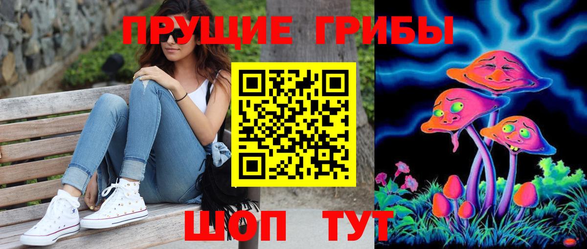 Псилоцибиновые грибы Psilocybe Серпухов