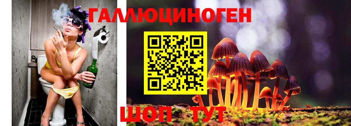 Галлюциногенные грибы GOLDEN TEACHER  Вход с VPN  Серпухов 
